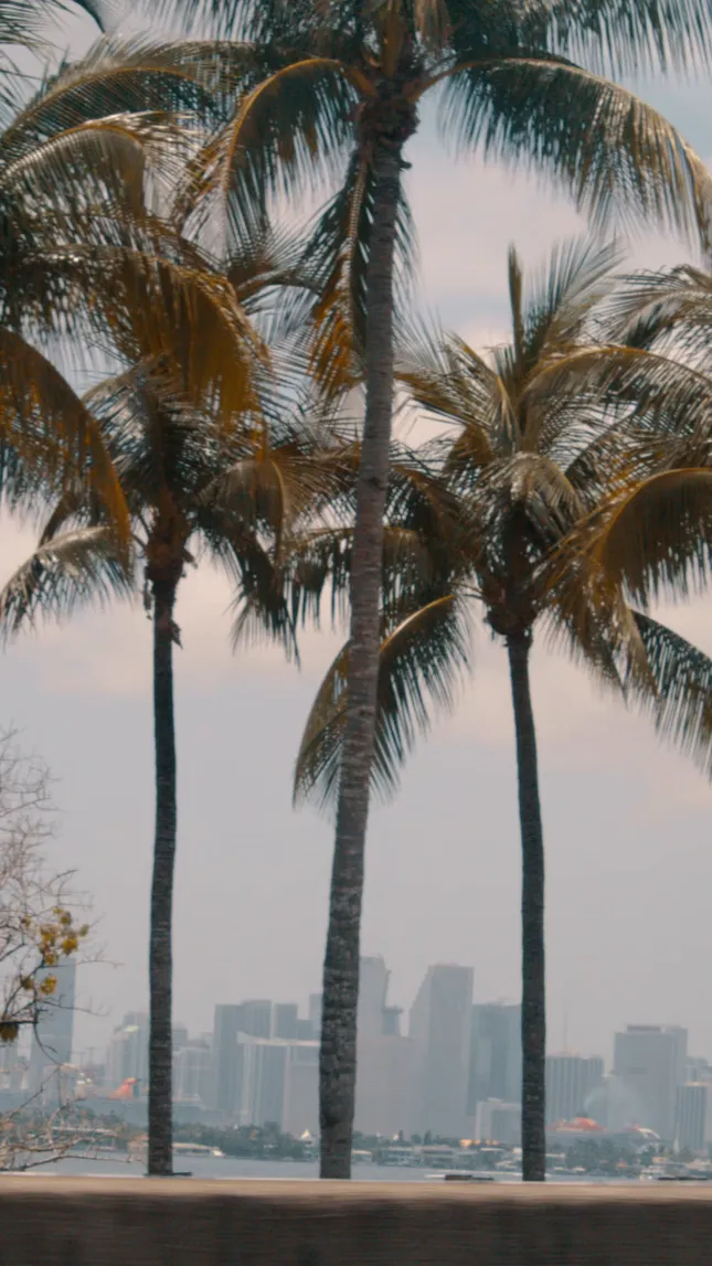 Love Island Birthday Weekend in Miami