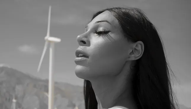 Palm Springs Sonoran Promo Video