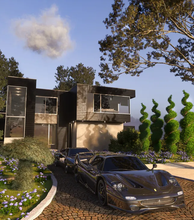 Project image