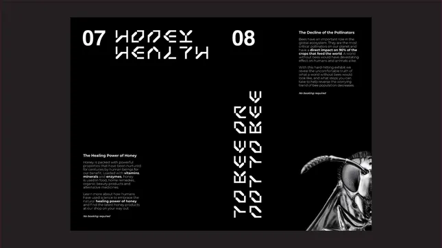 Project image