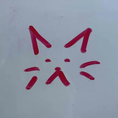 SS  Avatar