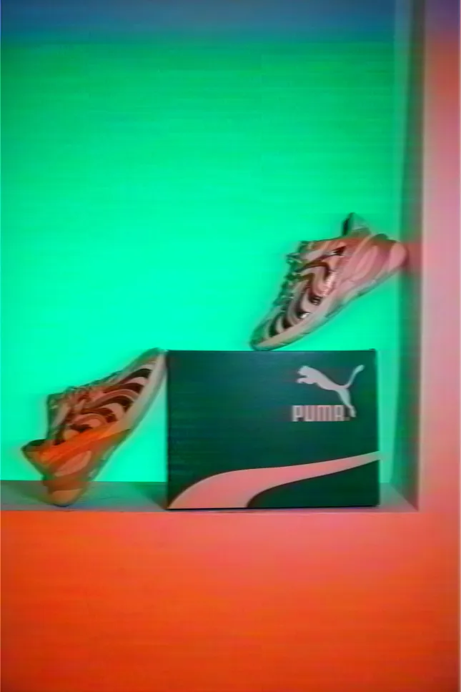 Project image