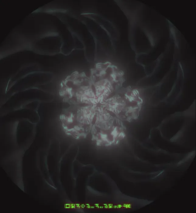 Clue P Visuals
