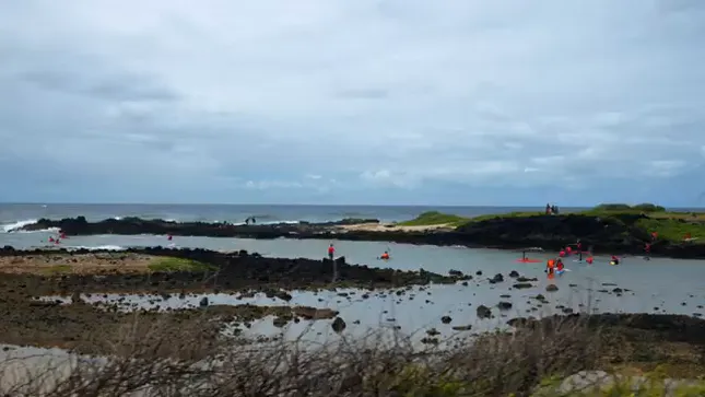 Sports Event Recap - foil race in O'ahu