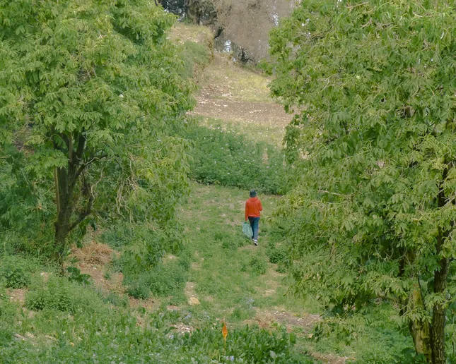Bolivia