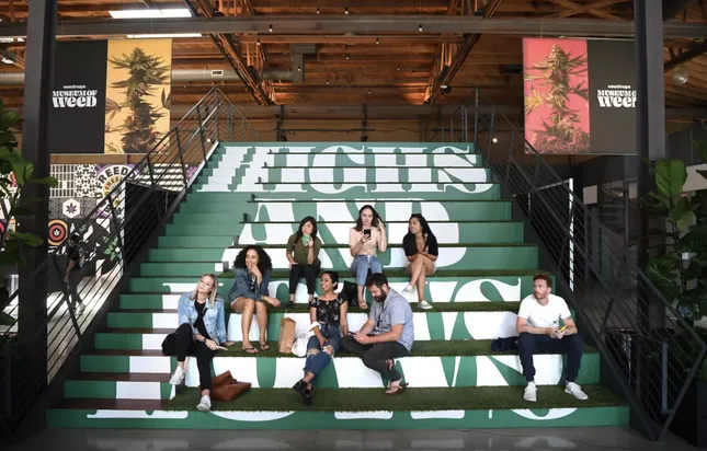 WEED MAPS: MUSEUM OF WEED