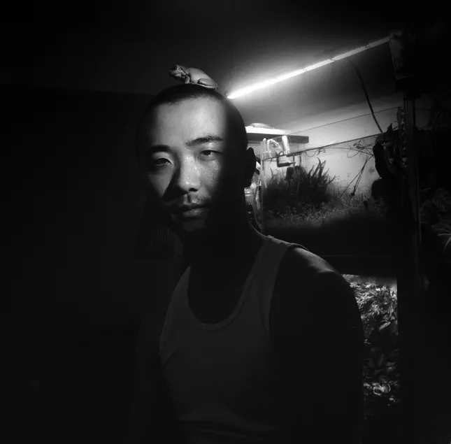 Project image