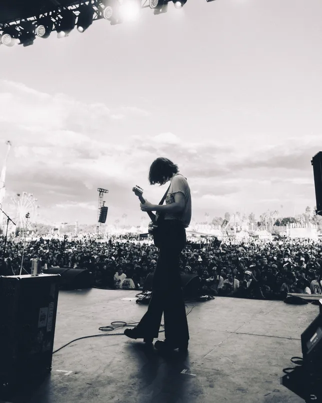 Geese for Camp Flog Gnaw