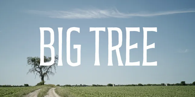 Big Tree