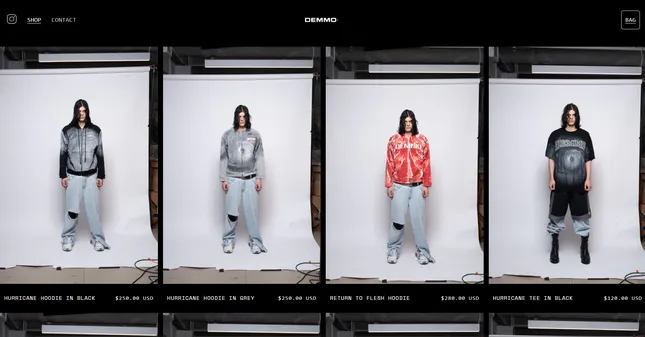 DEMMO website