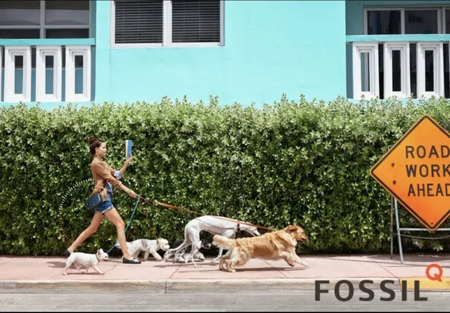 Fossil Campaign