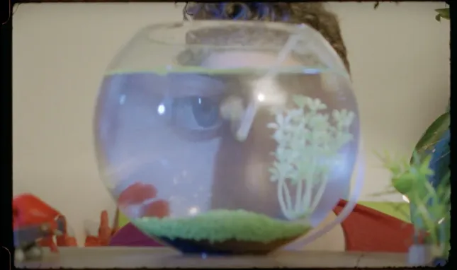 Fishbowl