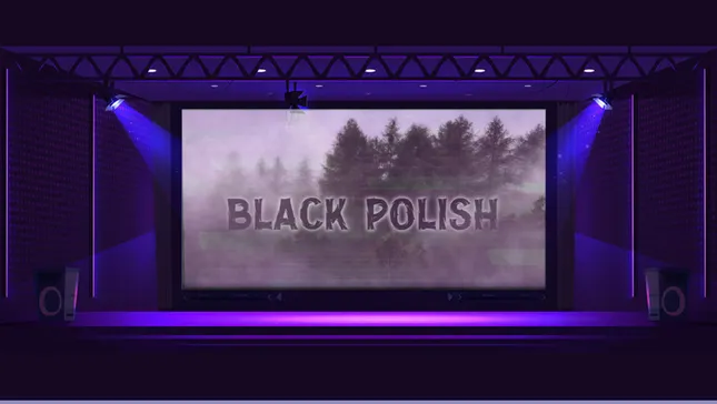 Show Projection
