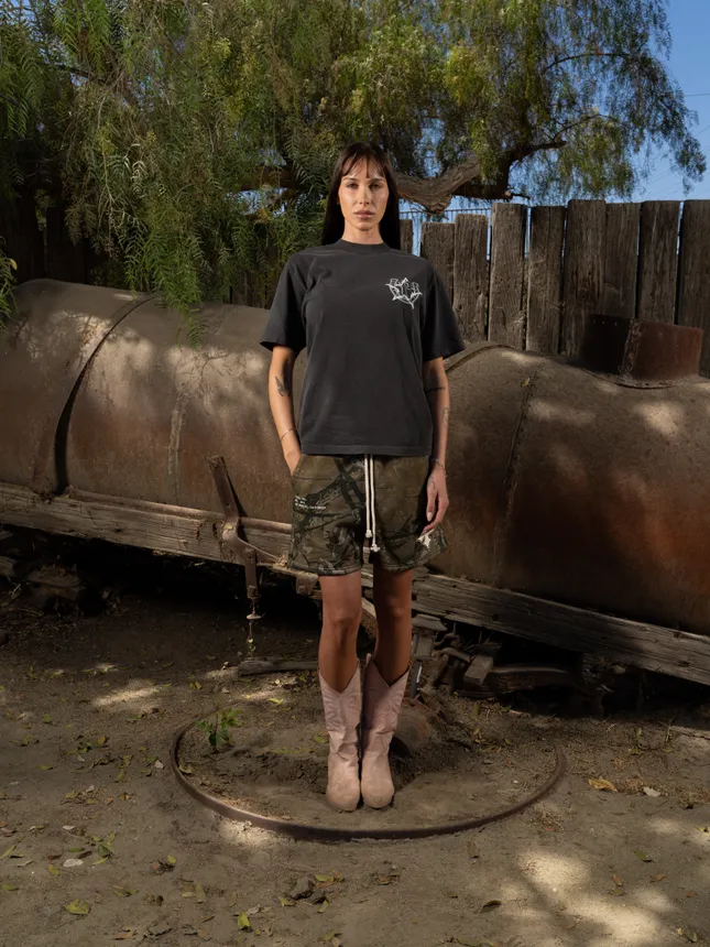 Pythia - Stars and Stables Editorial