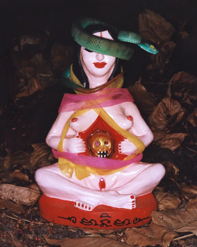 Project image