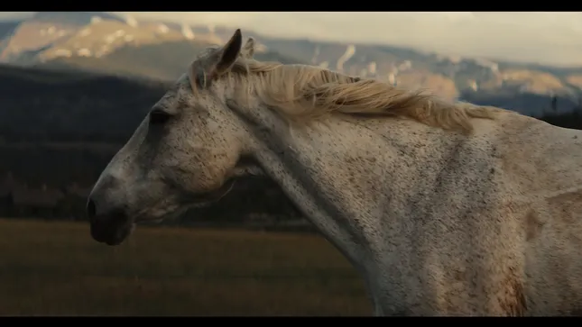 Denver Broncos “Broncos Country” Longform