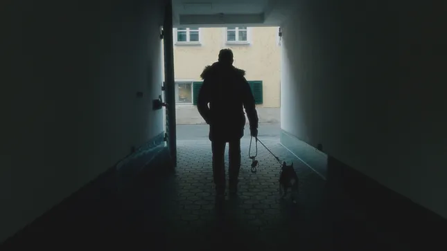 The Walk