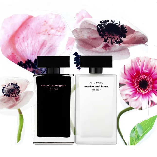 Narciso Rodriguez 2D Animation