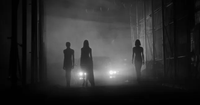 TRAVIS TADDEO Fashion Film