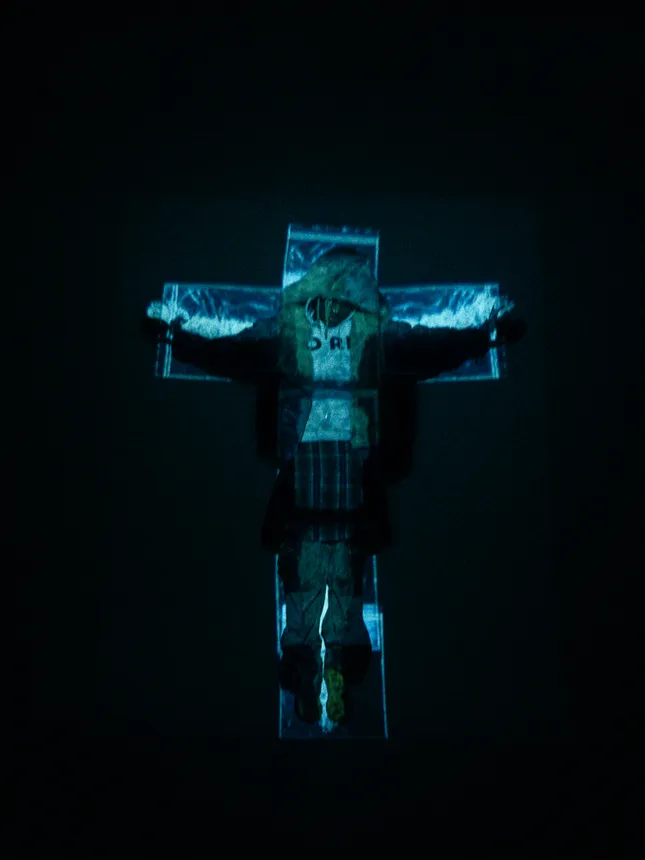 Project image