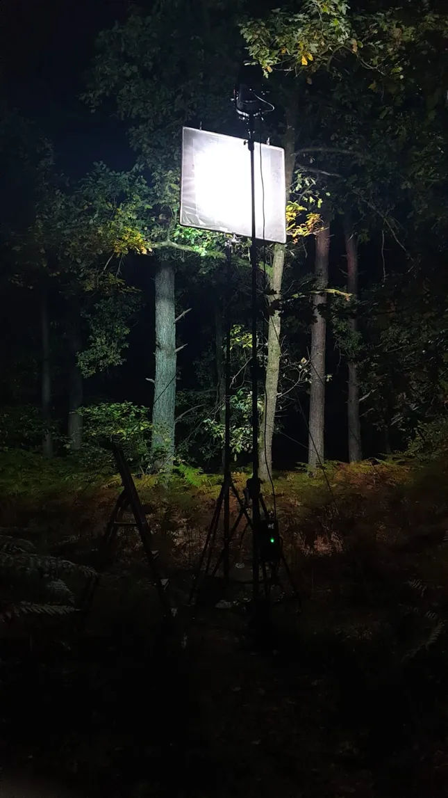 Midwild - Short film - 2025