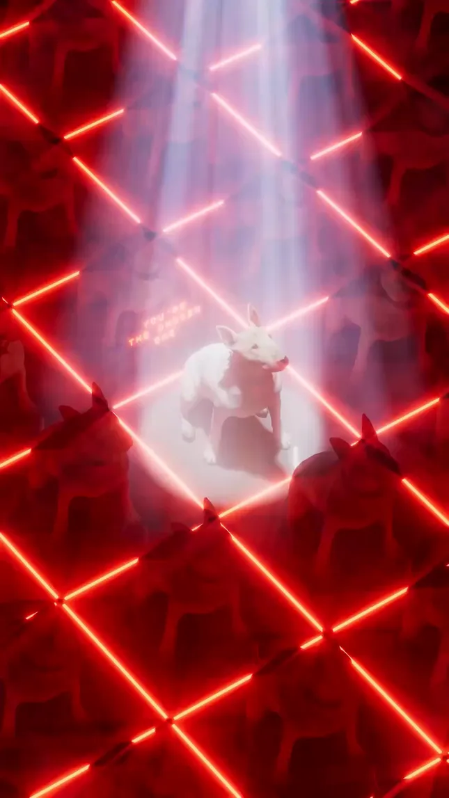 VISUALIZER // 03