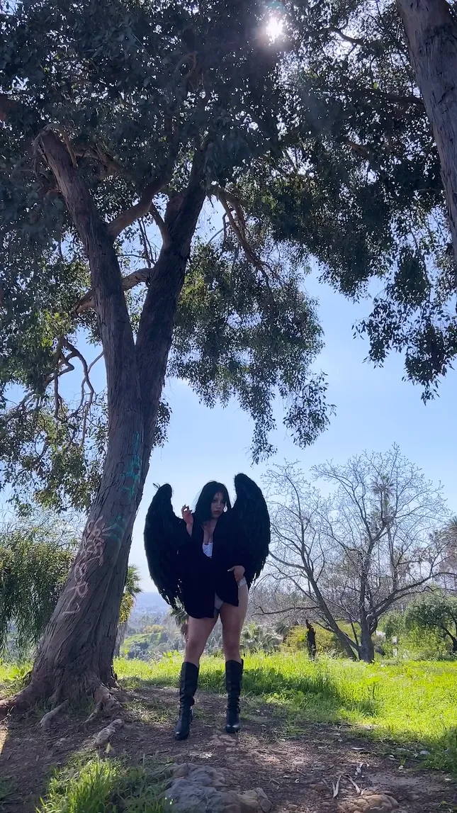 fallen angel bts