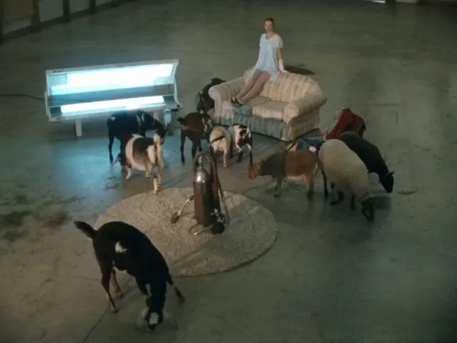 American Mirage Vol. 1 - The Domestic Sunbather (2025)