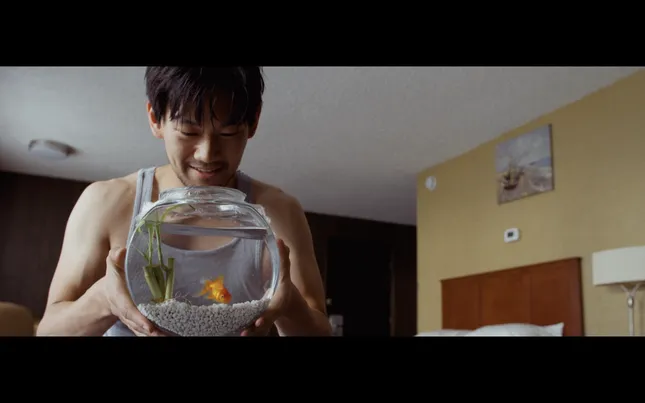sometimes, i wish i was a fish