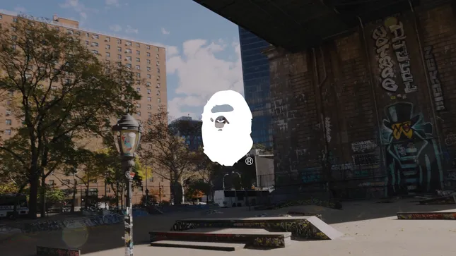 Bape campaign