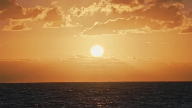 2024 Showreel