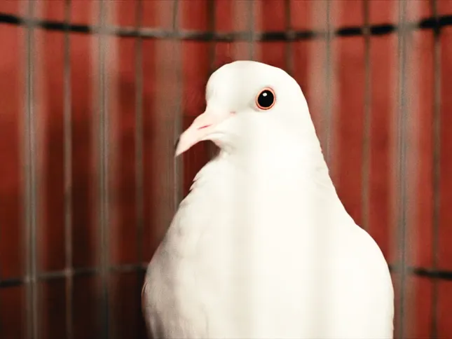 Right Here - CarterClouud