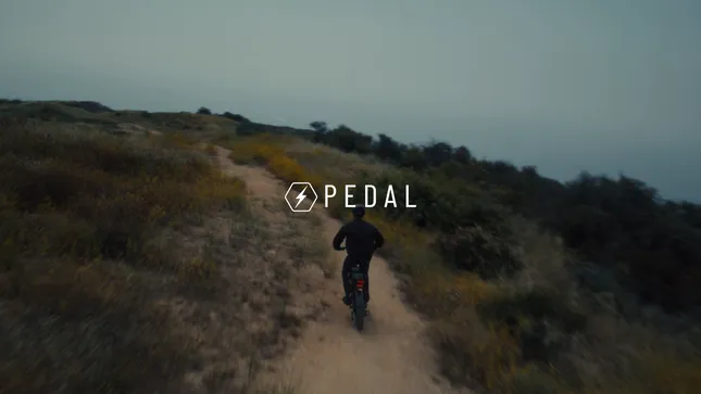 Pedal Electric