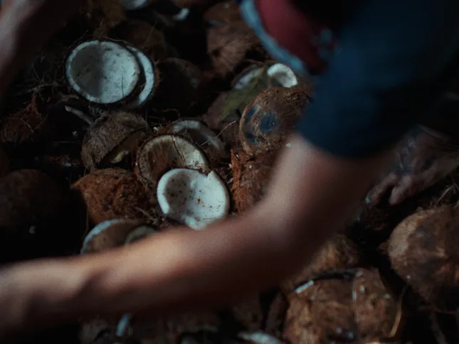 Yuremane - “Romeo”