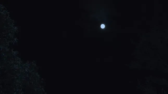 Werewolf Whackers - Short Film