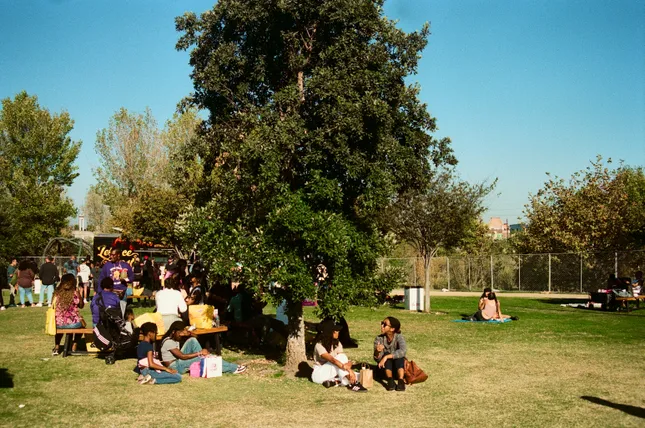 Project image