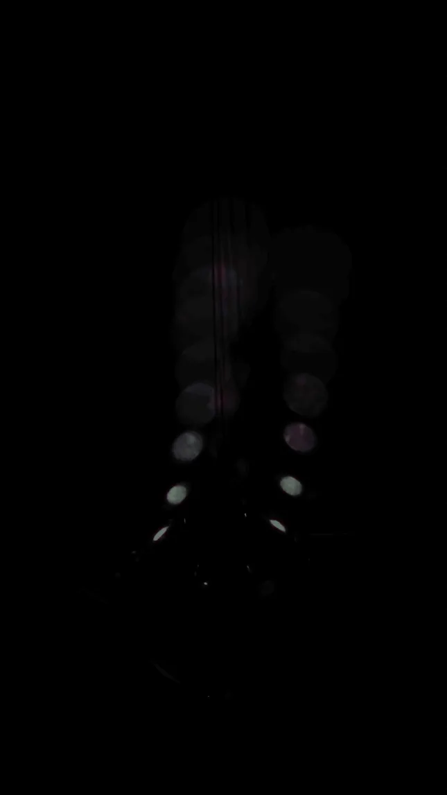 Mace Pendulum Wave
