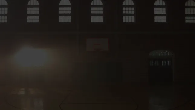 TURTLE BEACH - SCOUT AIR