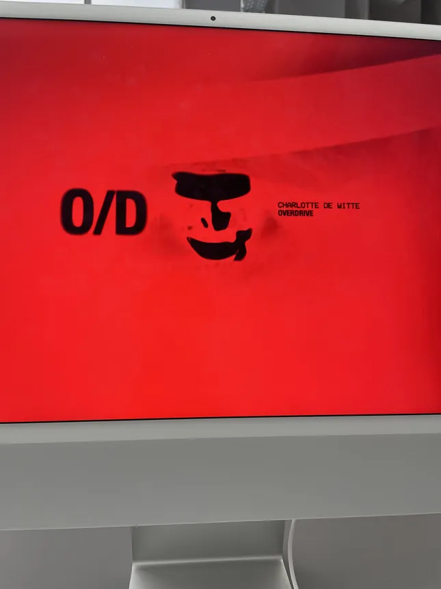 Project image