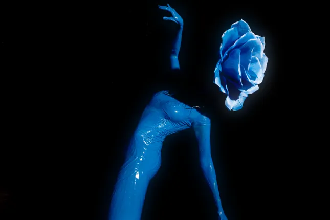 Aqua Rose
