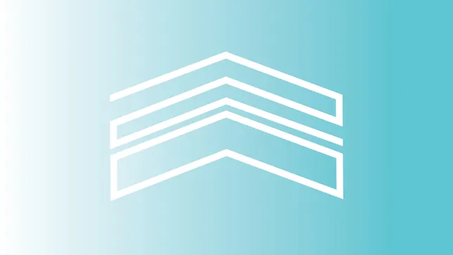Twentieth Gallery Logo
