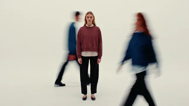 Stanley & Stella Campaign