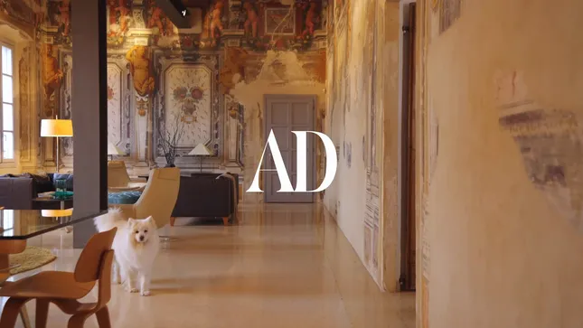 AD Visits with Simone Barlaam