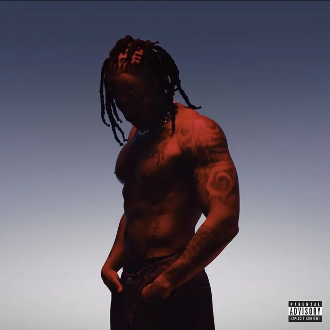 HEAVY album