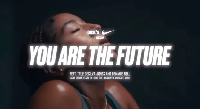 Dicks Sporting Goods x Nike
