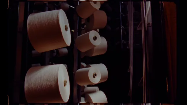 WillBo- A Common Thread 🧵