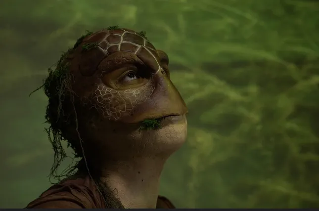 sea turtle sfx