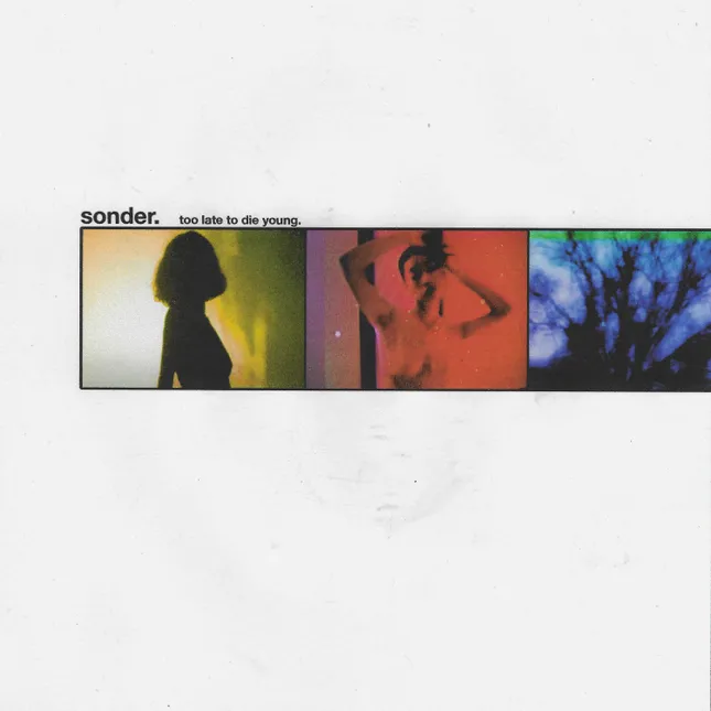 Sonder Too Late To Die Young Cover Art
