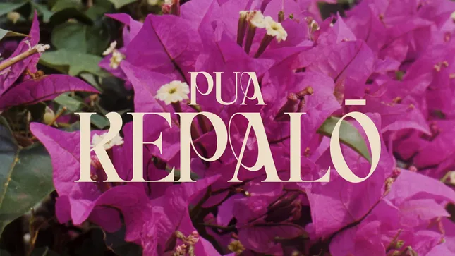 Wasted Talent: Pua Kapalo
