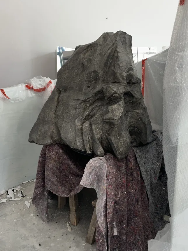 Project image